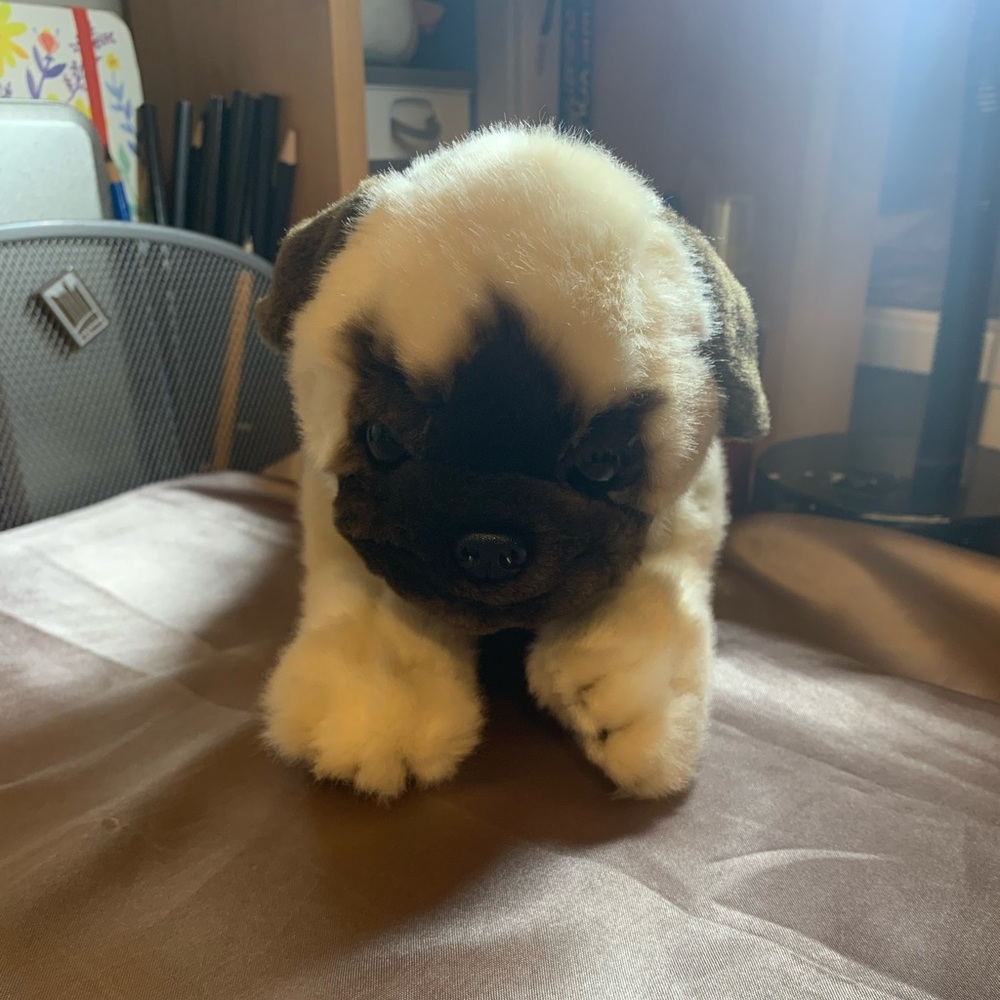 Bocchetta plush pug dog